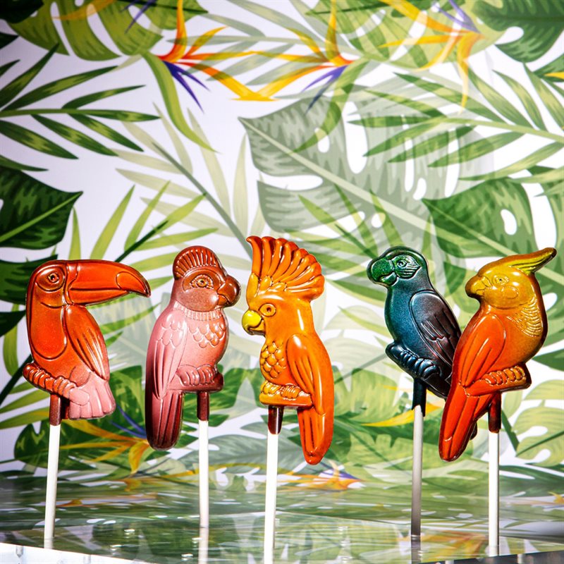 BIRDS