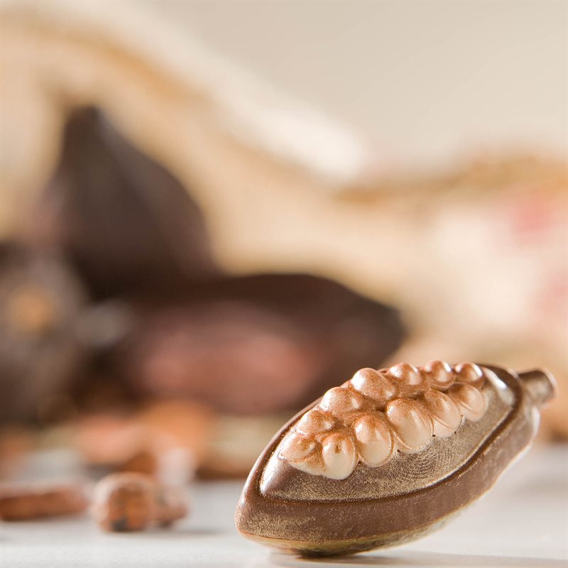 COCOA, FLOWERS, PLANTS & ANIMALS