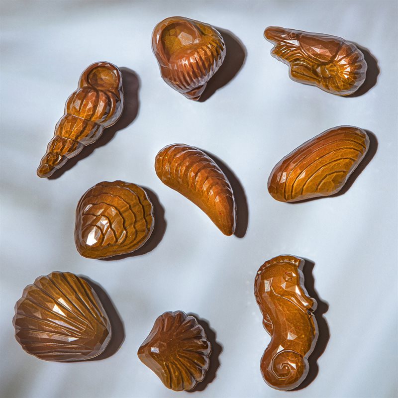 SEA CREATURES