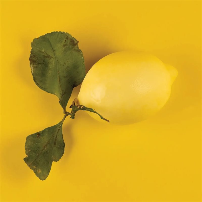 3D FRUITS