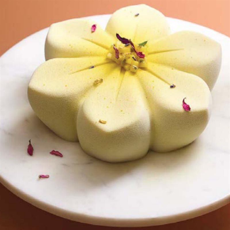 MODERN CAKES