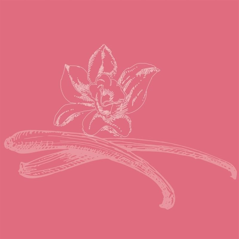 FILLINGS & FLAVORINGS