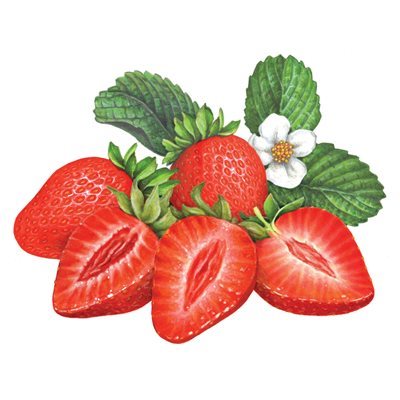 COMPOUND STRAWBERRY, 2.2 LB (1 KG)