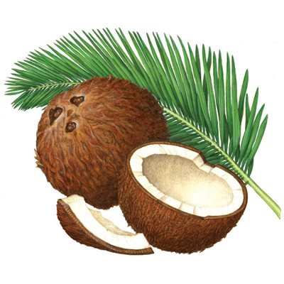 COMPOUND COCONUT, 2.2 LB (1 KG)