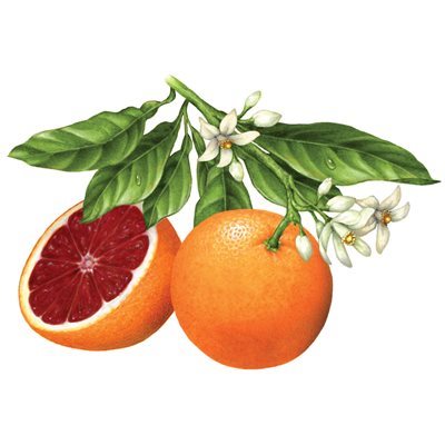 COMPOUND BLOOD ORANGE, 2.2 LB (1 KG)