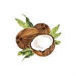 Natural Coconut Fat Soluble Flavor, 32 fl oz / 0.95 L
