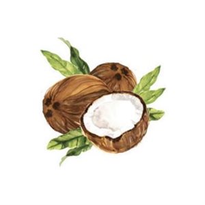 Natural Coconut Fat-Based Flavor, 32 fl oz / 0.95 L