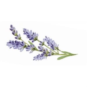 Natural Lavender Fat-Based Flavor, 32 fl oz / 0.95 L