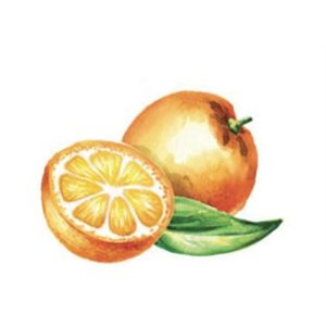 Natural Orange Fat Soluble Flavor, 32 fl oz / 0.95 L