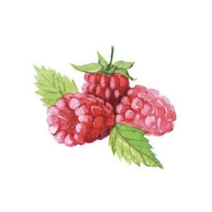 Natural Raspberry Fat-Based Flavor, 32 fl oz / 0.95 L