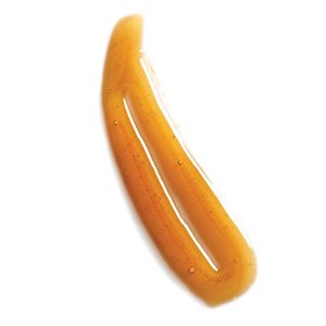 SAUCE CARAMEL, 2.2 LB (1 KG)