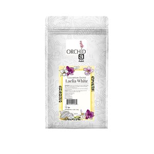 COUV ORCHID LAELIA WHITE COINS 2.5KG