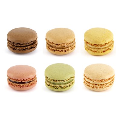 Versailles Macaron Collection (6 Flavors)