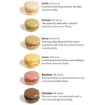 VERSAILLES MACARON COLLECTION, 288 PCS