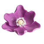 AIRBRUSH PEARL PURPLE CHOCOLATE COLOR, 100ML