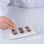 MINI SPHERE W / LOLYPOP STICKS