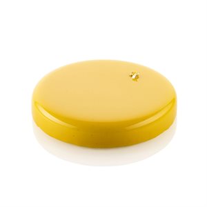 TOR 180H30MM - SILICONE MOLD N.1 ÿ180H30MM