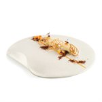 TAIGA - SILICONE MOULD N.16 69X40 - N.20 45X21 H 2 MM