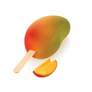 GEL20 MANGO - SET 2 SILICONE MOULDS 82X54 H 43 MM + 50 STICKS + TRAYS