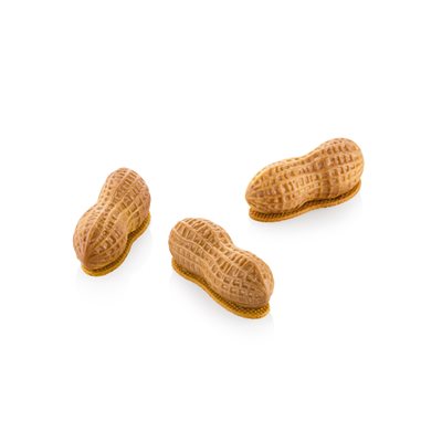 ARACHIDE 30 - SILICONE MOULD N.12 72X29 H 27 MM + CUTTER