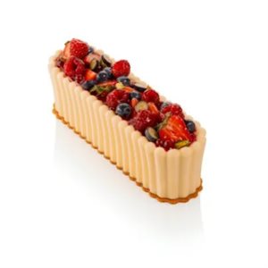 ECRIN 1000 - SILICONE MOULD 255X75 H 70 MM