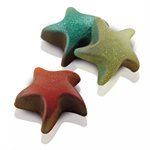 SCG42 - SILICONE MOULD STARFISH
