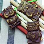 SF199 - SILICONE MOULD NR.16 FUNNY OWLS CHOCO TAGS