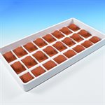 SG07 PINEAPPLE - SILICONE MOULD 33X23 H18 MM