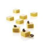 SQUARE MOLD, MICRO COLLECTION