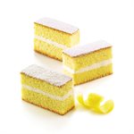 TERRACOTTA SILICONFLEX NACKED ITEM NR.12 CAKES MM 79 X 29 H 30 MM