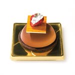 TERRACOTTA SILICONFLEX NACKED ITEM NR.6 FLANMOLD ¯ 60 H 17 MM