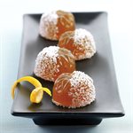 TERRACOTTA NACKED SILICONFLEX NR. 15 LITTLE SUNFLOWERS