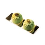 TERRACOTTA NACKED SILICONFLEX NR. 15 LITTLE SUNFLOWERS