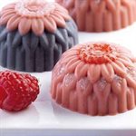 TERRACOTTA SILICONFLEX NACKED ITEM LITTLE DAHLIA 15 PCS