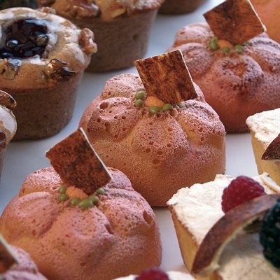 TERRACOTTA SILICONFLEX NACKED ITEM NR. 6 BIG NARCISUS FLOWER