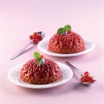 TERRACOTTA SILICONFLEX NACKED ITEM NR.6 BIG DAHLIA