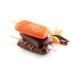 L'ITALIANO - KIT FOR ICE-CREAM AND ICE-LOLLY