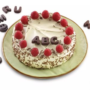 TERRACOTTA SILICONE MOULD N.82 CHCO ABC BULK