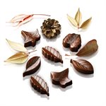 BROWN NATURE MOULD NR. 8 NATURE MM 51X23 MM H 14,5 MM FOR CHOCOLATE AND ICE IN G