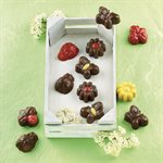BROWN SILICONE MOULD N.8 ITEMS SPRINGLIFE IN GIFT BOX