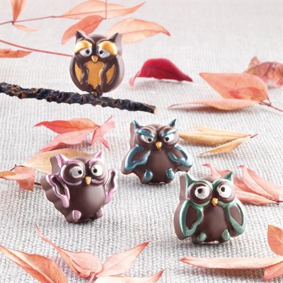 BROWN SILICONE MOULD N.15 CHOCO OWLS IN GIFT BOX