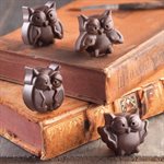 BROWN SILICONE MOULD N.15 CHOCO OWLS IN GIFT BOX