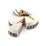 SET 6 TOR180 H 40 MM + TRAY 600X400 MM