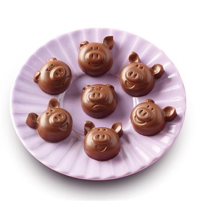 SCG35 CHOCO PIGS
