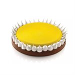 KIT TARTE RING ROUND ÿ230mm