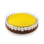 TARTE RING ROUND ÿ230 H20mm