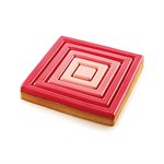 TARTE RING SQUARE 200X200 h20mm