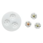SLK241 DAISES