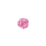 SLK 384 ROSE