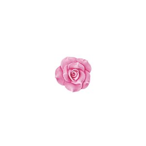SLK 384 ROSE